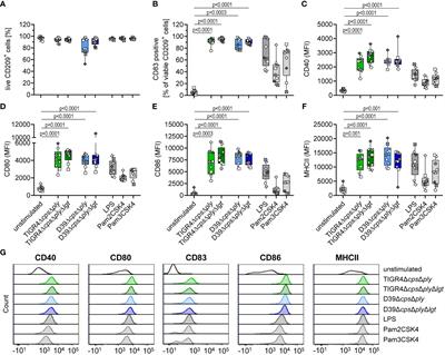 Lipidation of pneumococcal proteins enables activation of human antigen-presenting cells and initiation of an adaptive immune response